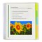 C-Line Products 10Pocket Poly Portfolio with WriteOn Tabs Set of 12 Portfolios, 12PK 33650-DS - alternate 2